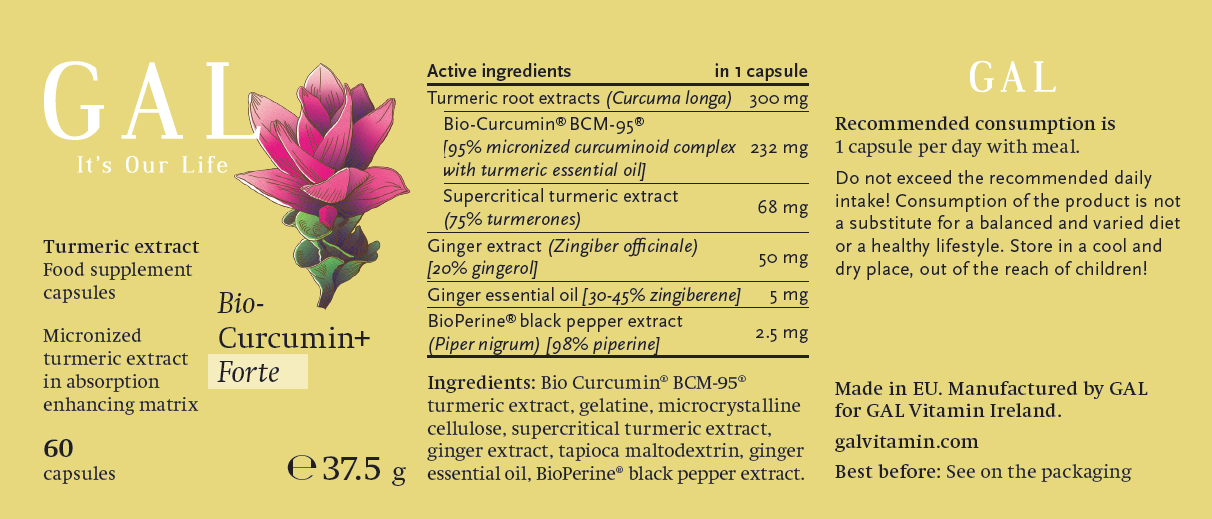 GAL Vitamins BioCurcumin Forte 60 caps