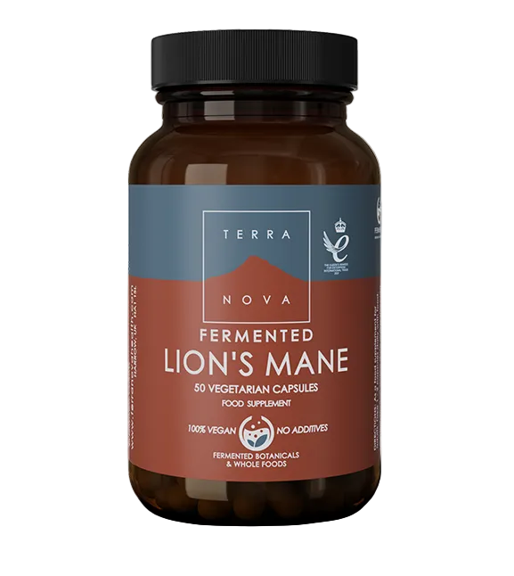 Terranova Fermented Lion's Mane: Amber bottle of Terranova Fermented Lion's Mane food supplement, featuring a label with branding, fermented botanicals logo, and text indicating it contains 50 100% vegan, additive-free vegetarian capsules made with fermented botanicals and whole foods.