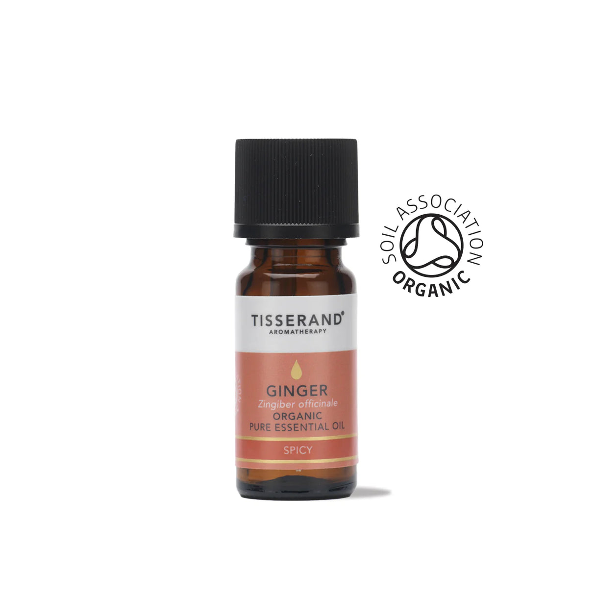 A small amber glass bottle of Tisserand Ginger organic pure essential oil with a terracotta and white label and a black cap.