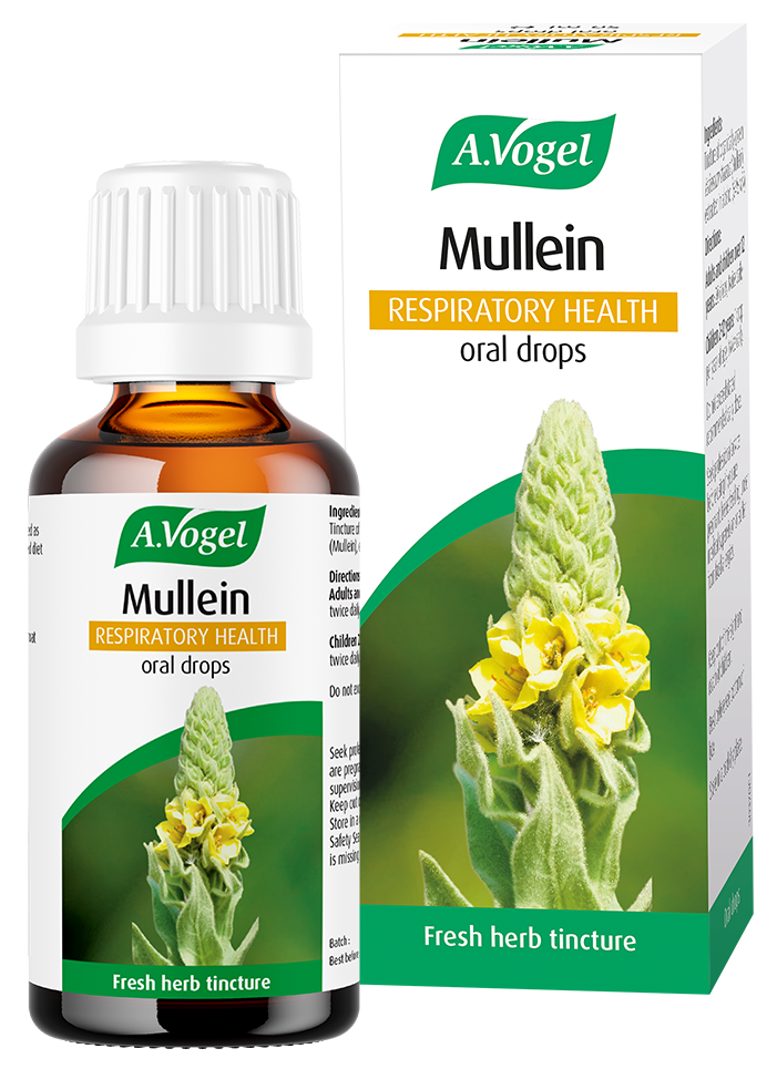 A.Vogel Mullein Respiratory Health oral drops bottle and retail carton featuring a tall yellow mullein flower illustration.
