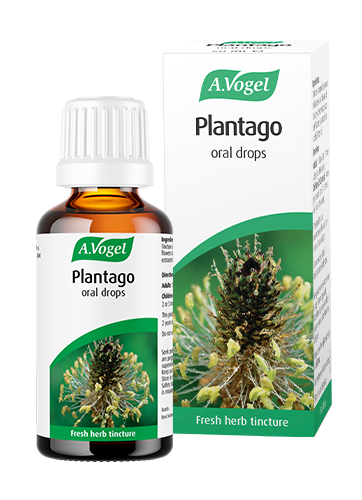 A.Vogel Plantago oral drops bottle and retail box with a detailed green plantago herb illustration.