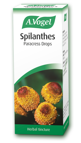 A 50ml bottle of A.Vogel Spilanthes Paracress Drops, a fresh herbal tincture made from Spilanthes oleracea.