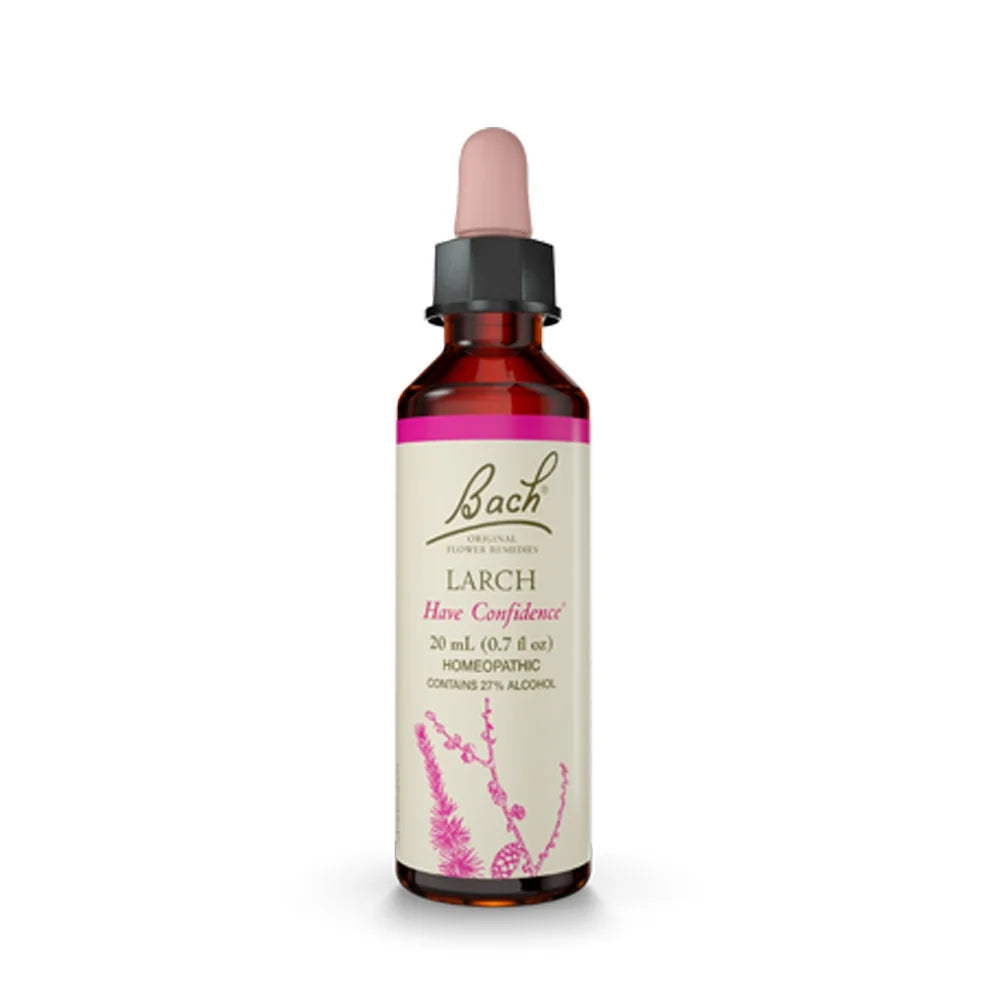 A 20 mL amber glass dropper bottle of Bach Larch 'Have Confidence' homeopathic tincture, featuring a cream label with pink botanical illustrations and a pink dropper cap, set against a plain white background.