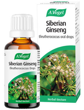 Bottle of A. Vogel Siberian Ginseng drops in front of its box. Both feature a botanical image, suggesting natural, herbal health benefits.