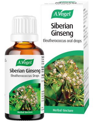 Bottle of A. Vogel Siberian Ginseng drops in front of its box. Both feature a botanical image, suggesting natural, herbal health benefits.