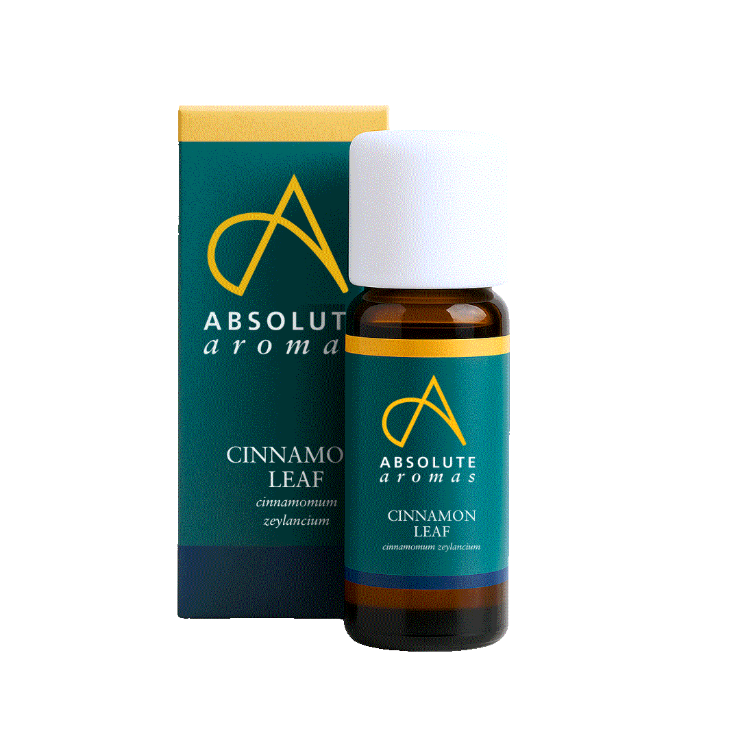 Absolute Aromas Cinnamon Leaf Essential Oil 10ml