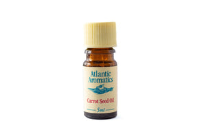 5ml amber glass bottle of Atlantic Aromatics Carrot Seed Oil with a ribbed cream cap on a white background.