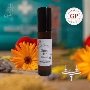 Dr Clare Spot Dab 10ml – natural blemish treatment roll-on with tea tree, witch hazel and lavender for clear and healthy skin