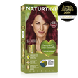 Naturtint Permanent Hair Colour Gel in 6.66 Fireland, featuring 100% grey coverage and an ammonia-free formula.