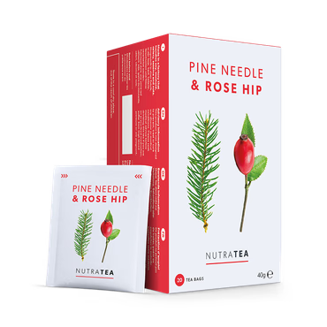 NutraTea Pine Needle and Rose Hip herbal tea bags for immune support and respiratory health 20 bags pack