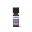 A small amber glass bottle of Tisserand Lavender pure essential oil with a purple and white label and a black cap.