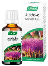 A.Vogel Artichoke Cynara oral drops bottle and retail carton featuring a purple artichoke flower illustration.