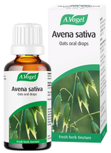 A.Vogel Avena Sativa oats oral drops bottle and retail box featuring a green oat plant illustration.