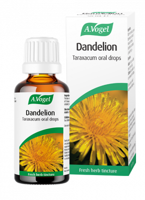 A.Vogel Dandelion Taraxacum oral drops bottle and retail box with a yellow dandelion flower illustration.
