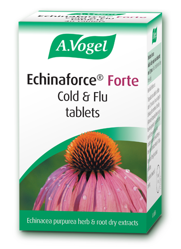 Avogel Echinaforce Chewable – echinacea herb and root chewable tablets for natural immune support and relief from cold and flu symptoms.