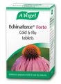 Avogel Echinaforce Chewable – echinacea herb and root chewable tablets for natural immune support and relief from cold and flu symptoms.
