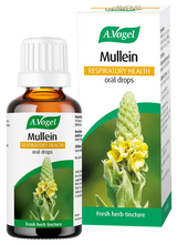 A.Vogel Mullein Respiratory Health oral drops bottle and retail carton featuring a tall yellow mullein flower illustration.