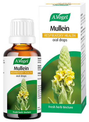 A.Vogel Mullein Respiratory Health oral drops bottle and retail carton featuring a tall yellow mullein flower illustration.