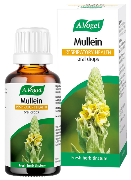 A.Vogel Mullein Respiratory Health oral drops bottle and retail carton featuring a tall yellow mullein flower illustration.