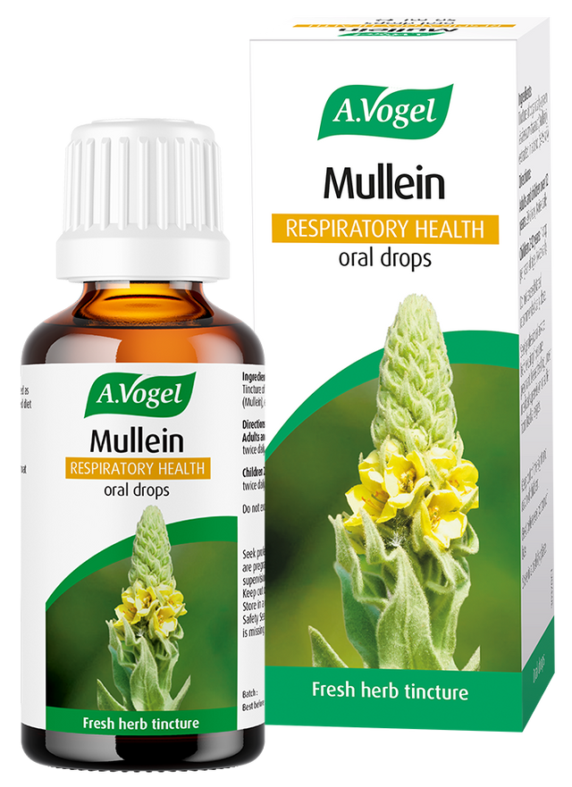 A.Vogel Mullein Respiratory Health oral drops bottle and retail carton featuring a tall yellow mullein flower illustration.