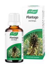 A.Vogel Plantago oral drops bottle and retail box with a detailed green plantago herb illustration.