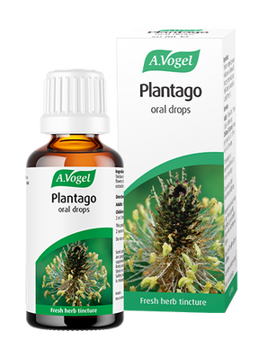 A.Vogel Plantago oral drops bottle and retail box with a detailed green plantago herb illustration.