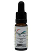 Silver Water Colloidal Silver Dropper, 10ml bottle, 30ppm, featuring a black dropper cap and a branded label