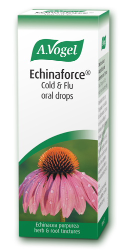 A 100ml bottle of A.Vogel Echinaforce Cold & Flu oral drops, featuring Echinacea purpurea herb and root tinctures for immune support.