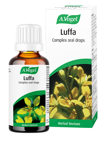 A 50ml bottle and box of A.Vogel Luffa Complex oral drops, a herbal tincture made from Luffa operculata and other botanical extracts.