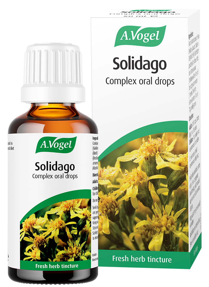 A bottle and box of A.Vogel Solidago Complex oral drops, a fresh herb tincture made from Solidago (Goldenrod) and other botanical extracts.