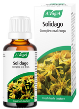 A bottle and box of A.Vogel Solidago Complex oral drops, a fresh herb tincture made from Solidago (Goldenrod) and other botanical extracts.