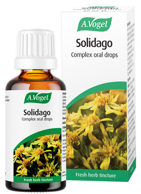 A bottle and box of A.Vogel Solidago Complex oral drops, a fresh herb tincture made from Solidago (Goldenrod) and other botanical extracts.