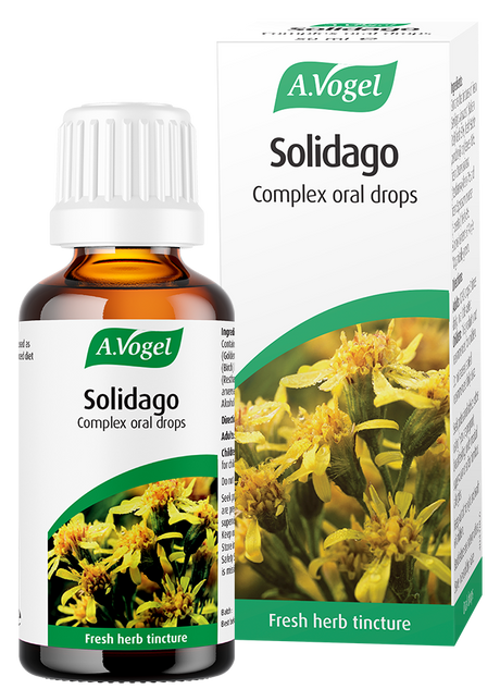 A bottle and box of A.Vogel Solidago Complex oral drops, a fresh herb tincture made from Solidago (Goldenrod) and other botanical extracts.