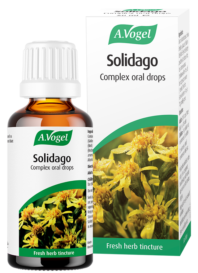 A bottle and box of A.Vogel Solidago Complex oral drops, a fresh herb tincture made from Solidago (Goldenrod) and other botanical extracts.
