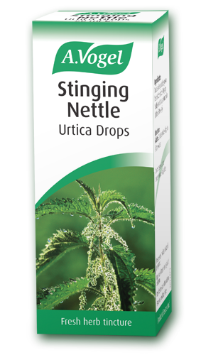 A 50ml bottle of A.Vogel Stinging Nettle Urtica Drops, a fresh herb tincture made from Urtica dioica.