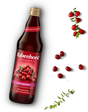 "Rabenhorst 100% pure cranberry juice from first pressing, featuring a premium glass bottle surrounded by fresh cranberries.