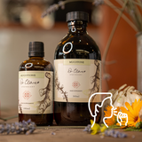 Dr Clare Chest & Sinus Mucotone – natural herbal tincture for respiratory support, chest congestion relief and immune health.