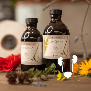 Dr. Clare Cystone Tincture