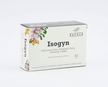 Betula Isogyn