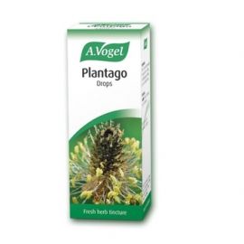 A. Vogel Plantago 50ml